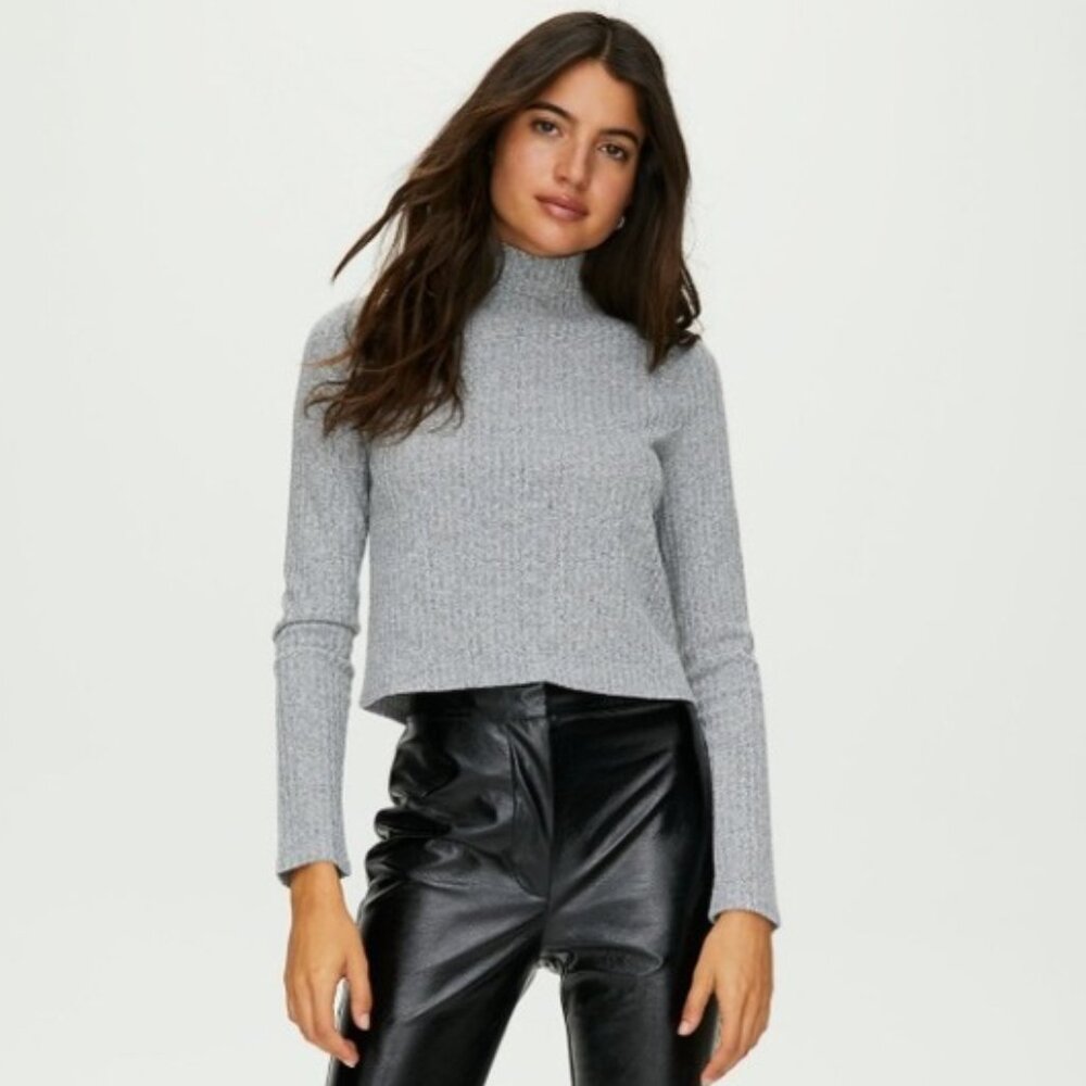 Aritzia Wilfred Free Tamu Turtleneck Sweater